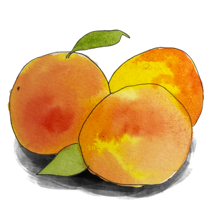 Peaches（ピーチ）